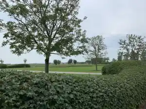 tuinaanleg-en-tuinonderhoud_sint-niklaas-belsele_Fine_Gardens_2.jpg
