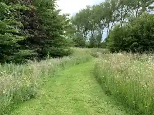 tuinaanleg-en-tuinonderhoud_sint-niklaas-belsele_Fine_Gardens_7.jpg