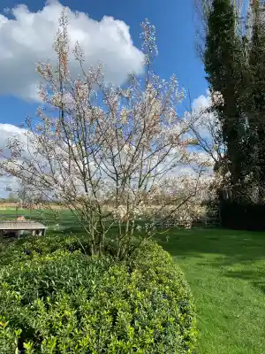 tuinaanleg-en-tuinonderhoud_sint-niklaas-belsele_Fine_Gardens_3.jpg