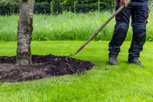tuinaanleg-en-tuinonderhoud_sint-niklaas-belsele_Fine_Gardens_6.jpg