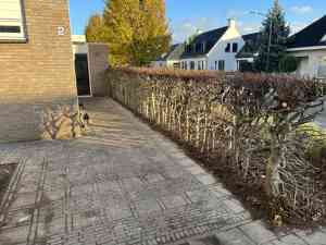 Tuinonderhoud.jpg