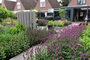 Hoveniersbedrijf Paul Swinkels.jpg