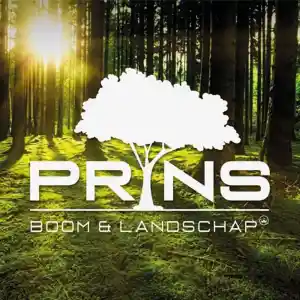 boomverzorging_staphorst_prins_boom_&_landschap_2.jpg
