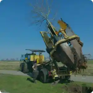 boomverzorging_staphorst_prins_boom_&_landschap_4.jpg