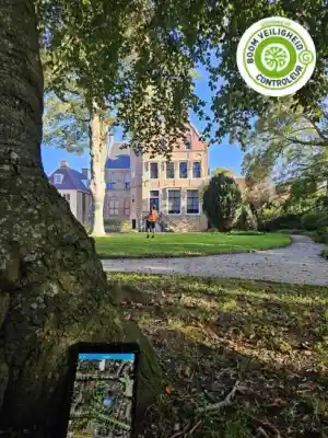 boomverzorging_staphorst_prins_boom_&_landschap_4.jpg