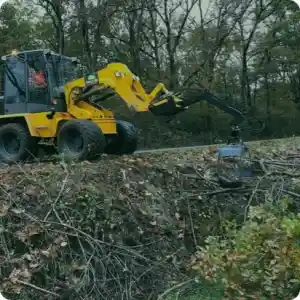 boomverzorging_staphorst_prins_boom_&_landschap_5.jpg
