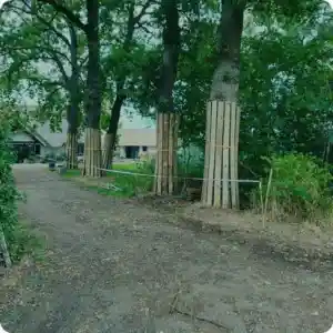 boomverzorging_staphorst_prins_boom_&_landschap_5.jpg