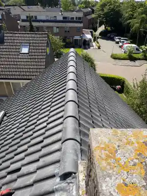 Pannen Dak Renovatie .jpg