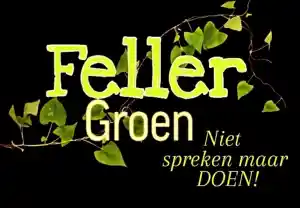hovenier_swalmen_Feller_Groen_2.jpg