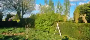 tuinaanleg-en-tuinonderhoud_maasmechelen-opgrimbie_OB-TUINONDERHOUD__4.jpg
