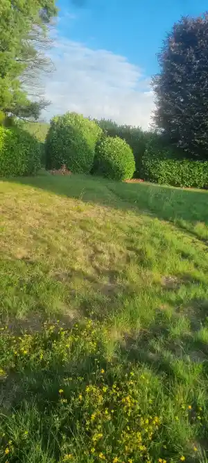 tuinaanleg-en-tuinonderhoud_maasmechelen-opgrimbie_OB-TUINONDERHOUD__3.jpg