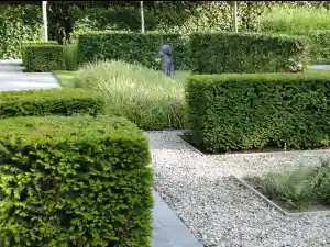 tuinaanleg-en-tuinonderhoud_maasmechelen-opgrimbie_OB-TUINONDERHOUD__6.jpg