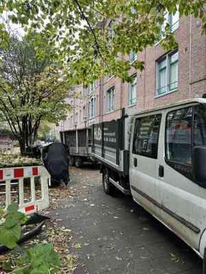 Boomverwijdering bij steiger in hartje Amsterdam.jpg