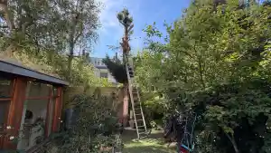 hovenier_ilpendam_huba_hoveniers-_en_boomverzorgingsbedrijf_4.jpg