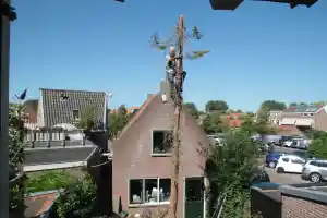 boomverzorging_ilpendam_huba_hoveniers-_en_boomverzorgingsbedrijf_3.jpg