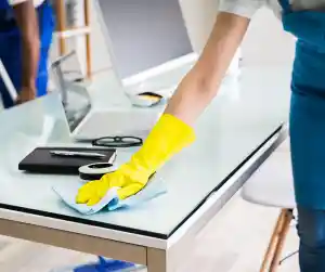 schoonmaakbedrijf_ingelmunster_FemFie_Clean_3.jpg