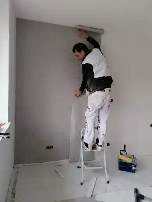 optipaint.jpg