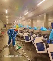 schoonmaakbedrijf_aartselaar_MBA_Industrial_Cleaning_6.jpg