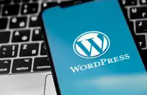 webdesign_dordrecht_WP_Web_Creaties_5.jpg