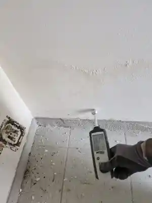 vochtbestrijding_zingem_SANU_MUR_4.jpg