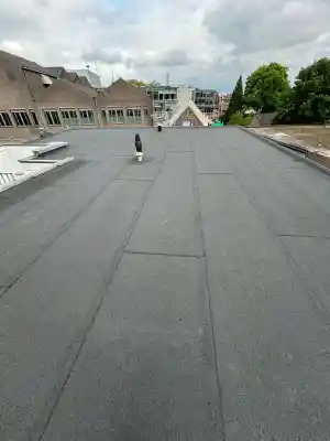 dakgoot_hedel_Klus_&_Servicebedrijf_Smits_3.jpg