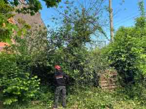 tuinaanleg-en-tuinonderhoud_asse-bekkerzeel_brt_5.jpg