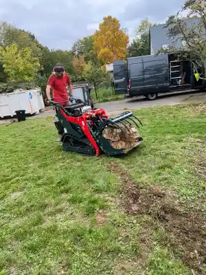tuinaanleg-en-tuinonderhoud_asse-bekkerzeel_brt_5.jpg