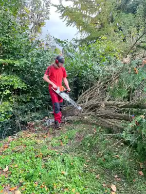 tuinaanleg-en-tuinonderhoud_asse-bekkerzeel_brt_4.jpg