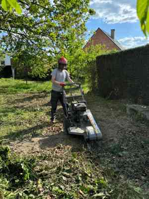 tuinaanleg-en-tuinonderhoud_asse-bekkerzeel_brt_6.jpg