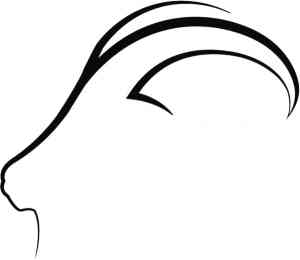 de Bock Schilderwerken .jpg