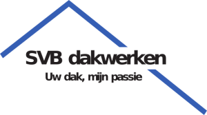 dakgoot_doetinchem_SVB_Dakwerken_2.jpg