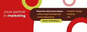 webdesign_arnhem_PS_Webdesign_Online_5.jpg