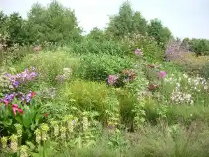 Boeschoten Hovenier.jpg