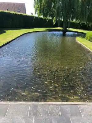 tuinaanleg-en-tuinonderhoud_kortrijk_Bruno_Vandeputte_-_Kleine_grond-_en_verhardingswerken_6.jpg
