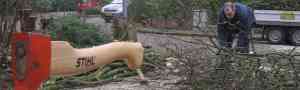 hovenier_eelde_Bakker_Hoveniers_voor_tuin_en_klein_onderhoud_5.jpg
