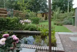 hovenier_hengelo_Hoveniersbedrijf_Tijhuis_Tuinen_4.jpg