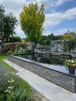 hovenier_hengelo_Koenderink_Hoveniers_4.jpg