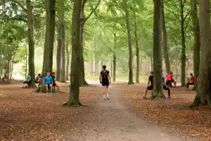 personal-trainer_roosendaal_DSTraining_|_Sportschool_in_Roosendaal_5.jpg