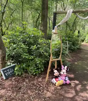 Bruiloft van D&K.jpg