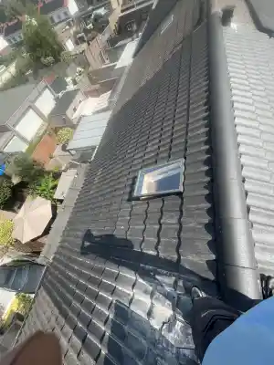 Pannendak renovatie .jpg