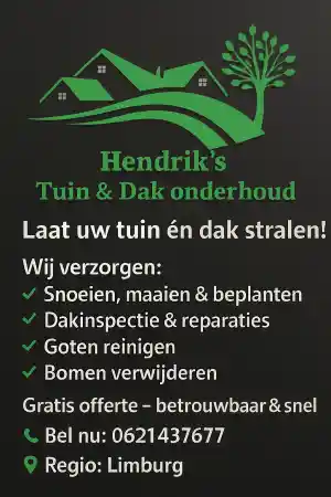 boomverzorging_maastricht_Hendrik’s_Tuin-enDakonderhoud_3.jpg