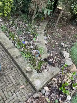 Tuin onderhoud onkruid bladeren &snoeien .jpg