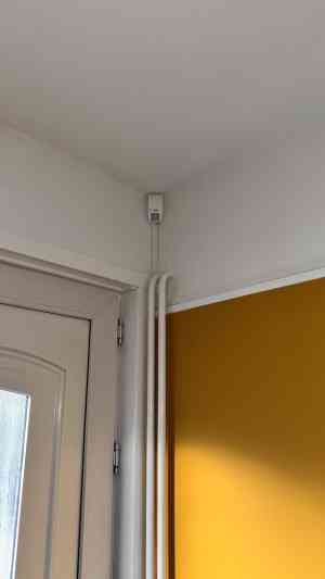 beveiliging_hardinxveld-giessendam_Bird_Solutions_2.jpg