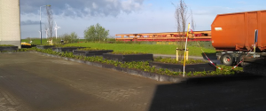 hovenier_bergen-op-zoom_Hoveniersbedrijf_Nuijten_B.V._6.jpg
