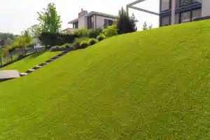 Kunstgras Amsterdam.jpg