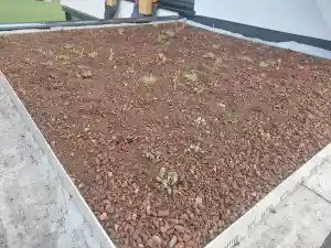 Groen op het dak?!.jpg