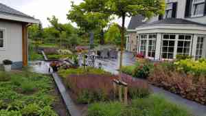 stratenmaker_oostvoorne_Hoveniersbedrijf_Frans_Toledo_4.jpg