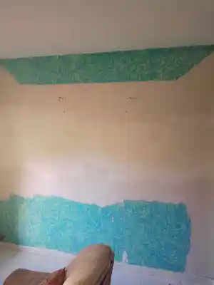 pintor_badalona_PINTORES_AROA_5.jpg