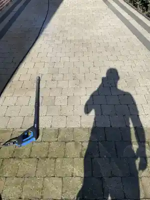 Reinigen oprit.jpg