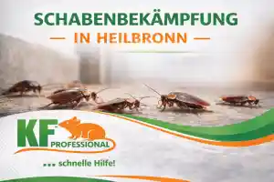 kammerjager_heilbronn_KF-Professional_Schädlingsbekämpfung_3.jpg